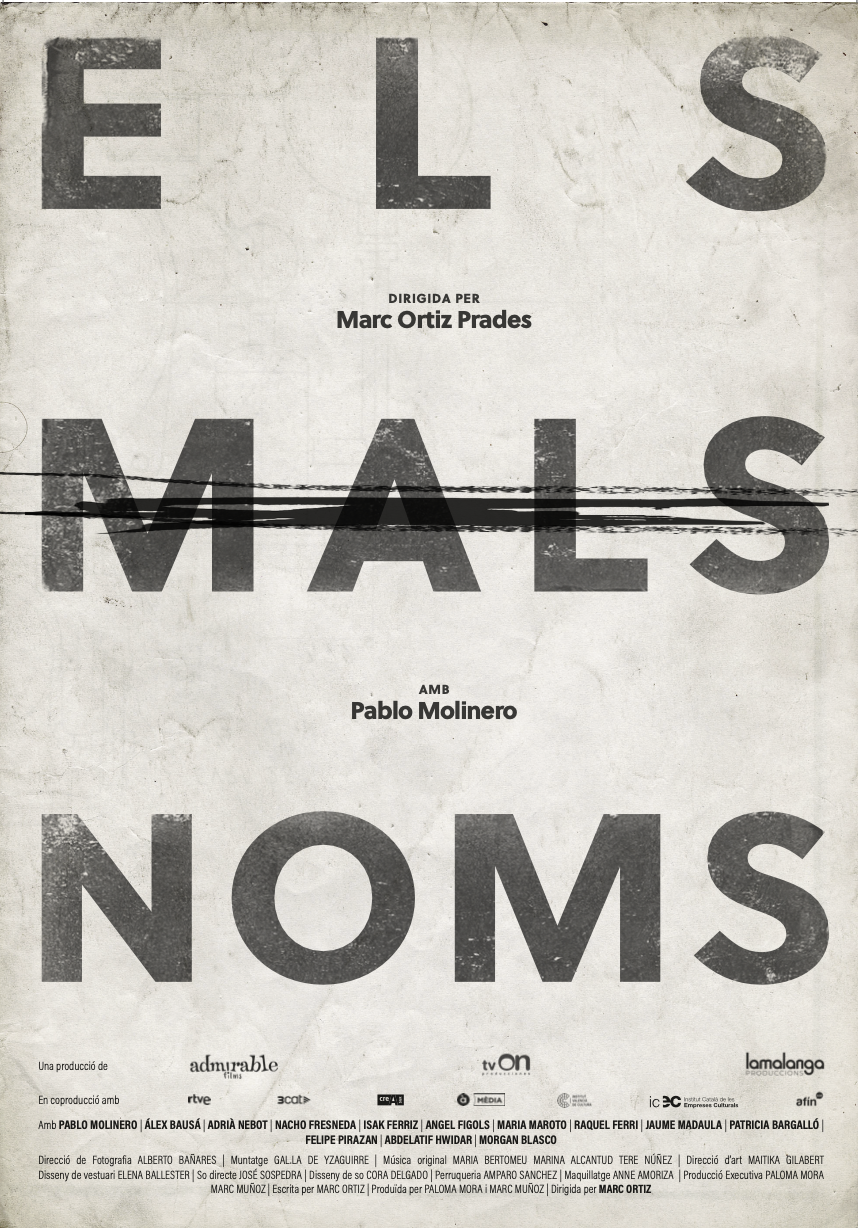 Cartel del proyecto
